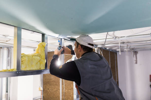 Best Cellulose Insulation in Kirtland, OH